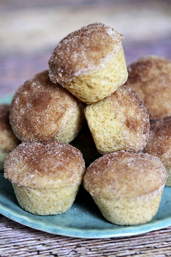 stack of Snickerdoodle Muffins 