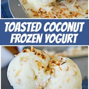 pinterest collage image for toasted coconut frozen yogurt