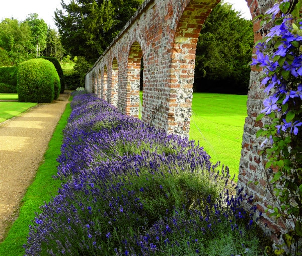 Highclere Castle 2