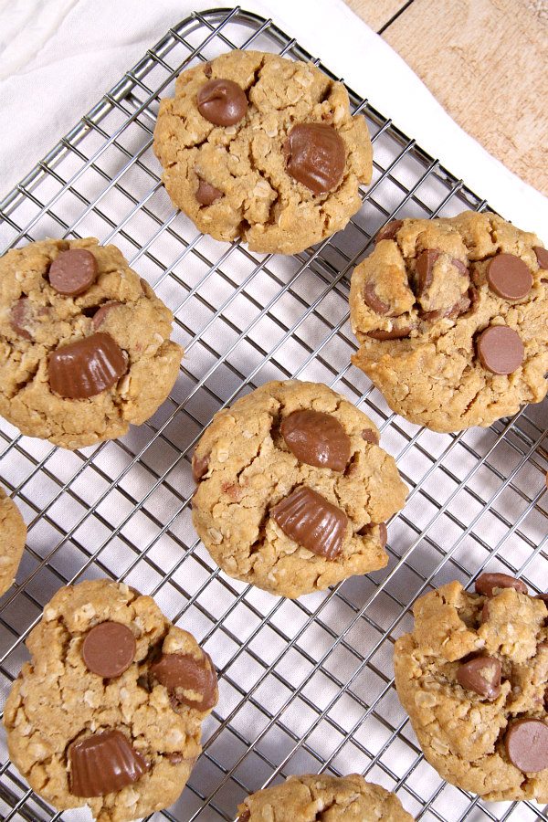 Oatmeal Peanut Butter Cup Chocolate Chip Cookies Recipe - RecipeGirl.com