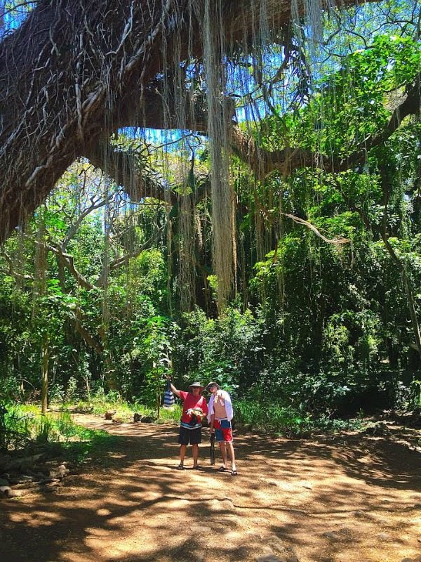 Jungle Trail Honolua Bay