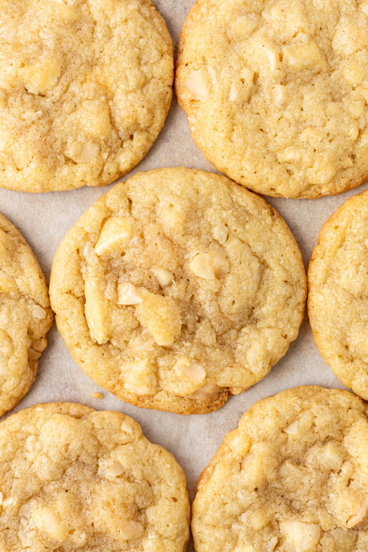 White Chocolate Macadamia Nut Cookies recipe from RecipeGirl.com : perfect classic cookie recipe made famous by Mrs. Fields! white chocolate macadamia nut cookies