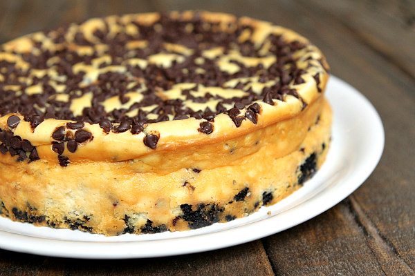 Chocolate Chip Cheesecake 