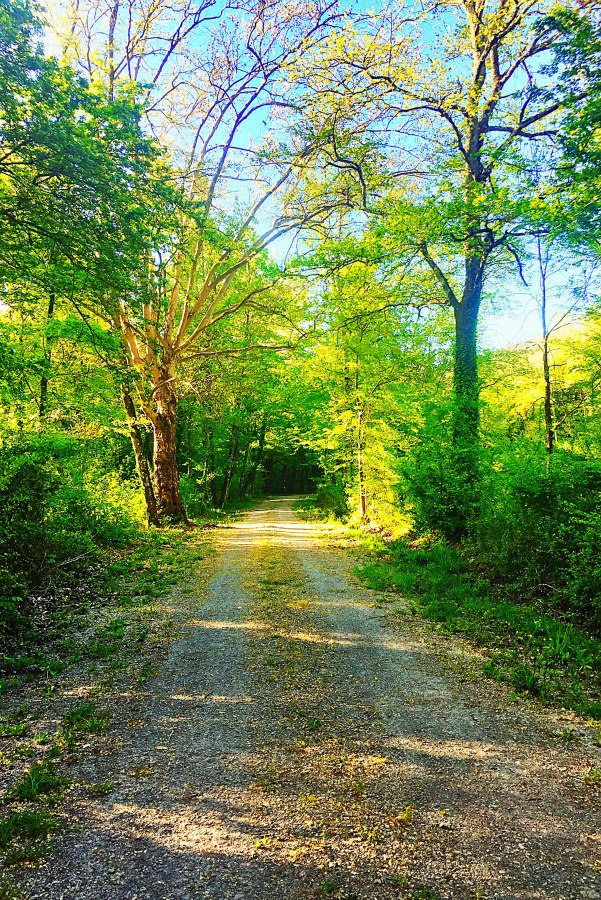 Walk through the Tuscan Countryside