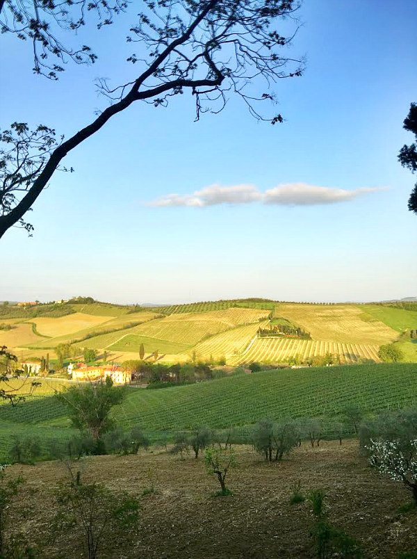 Tuscan countryside