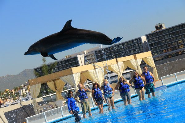 Princess Cruises Excursions in Cabo San Lucas - Recipe Girl