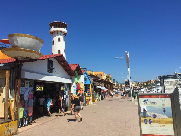 Princess Cruises Excursions in Cabo San Lucas - Recipe Girl