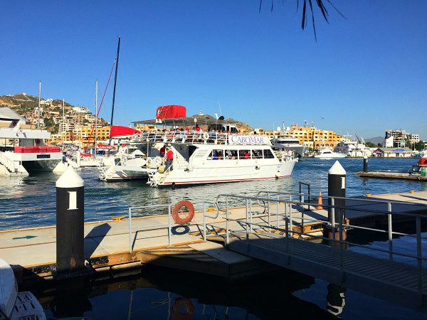 Princess Cruises Excursions in Cabo San Lucas - from RecipeGirl.com