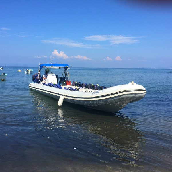 princess shore excursions puerto vallarta