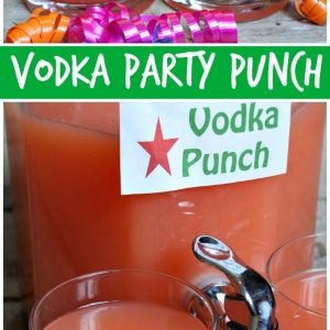 Vodka Party Punch - Recipe Girl