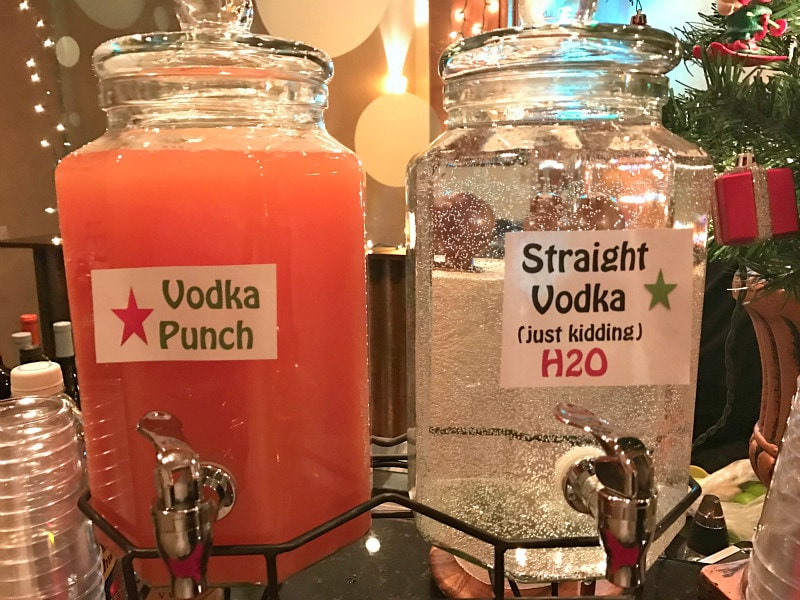 Fruity Vodka Party Punch - Crazy for Crust