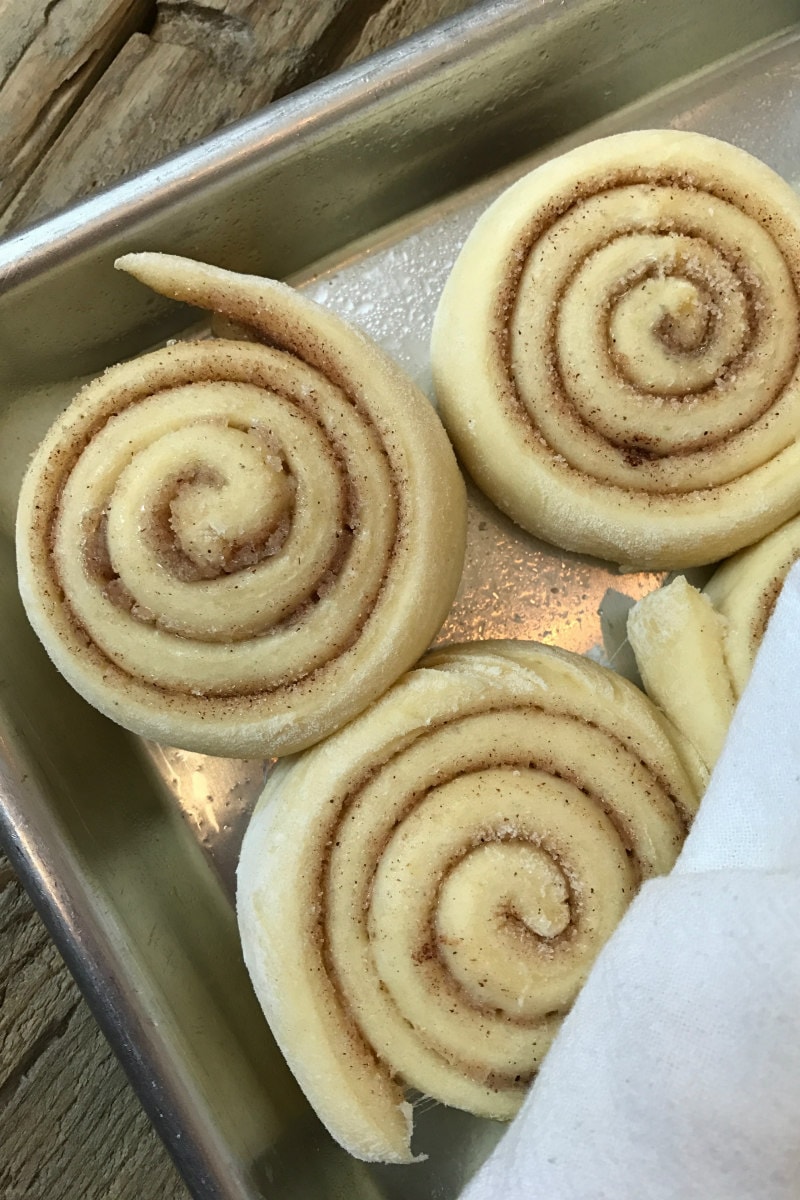 rising Old Fashioned Cinnamon Rolls