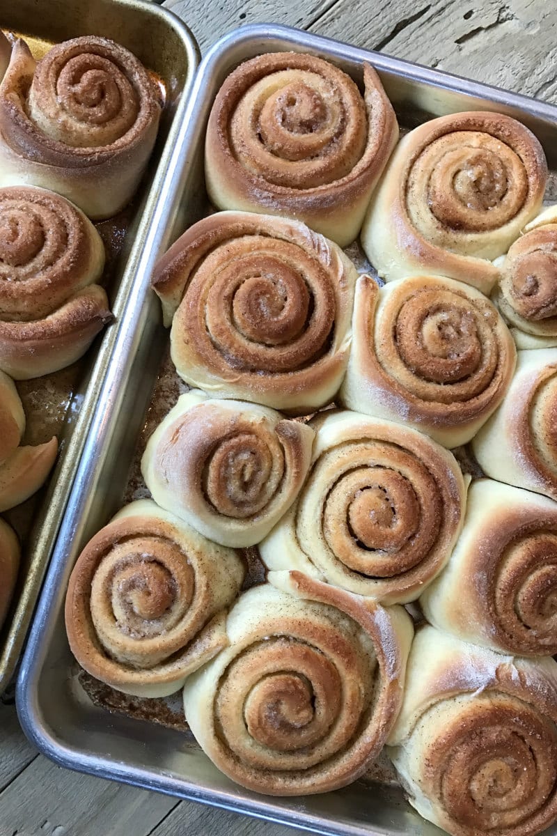 Old Fashioned Cinnamon Rolls just out of the oven