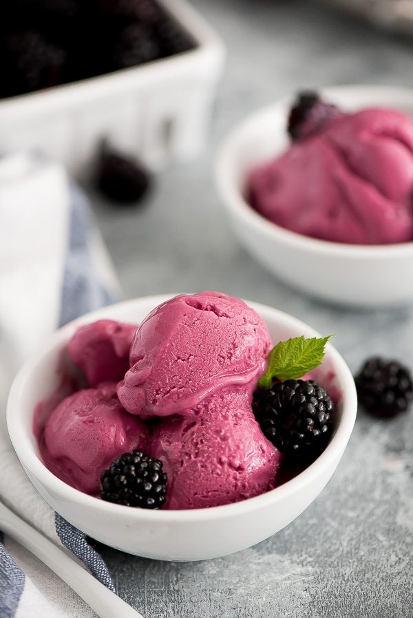 2 Bowls of scoops of Blackberry Frozen Yogurt in white bowls garnished with fresh mint and fresh blackberries