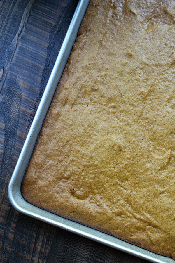 Pumpkin Sheet Cake with Butterscotch Frosting recipe - by RecipeGirl.com