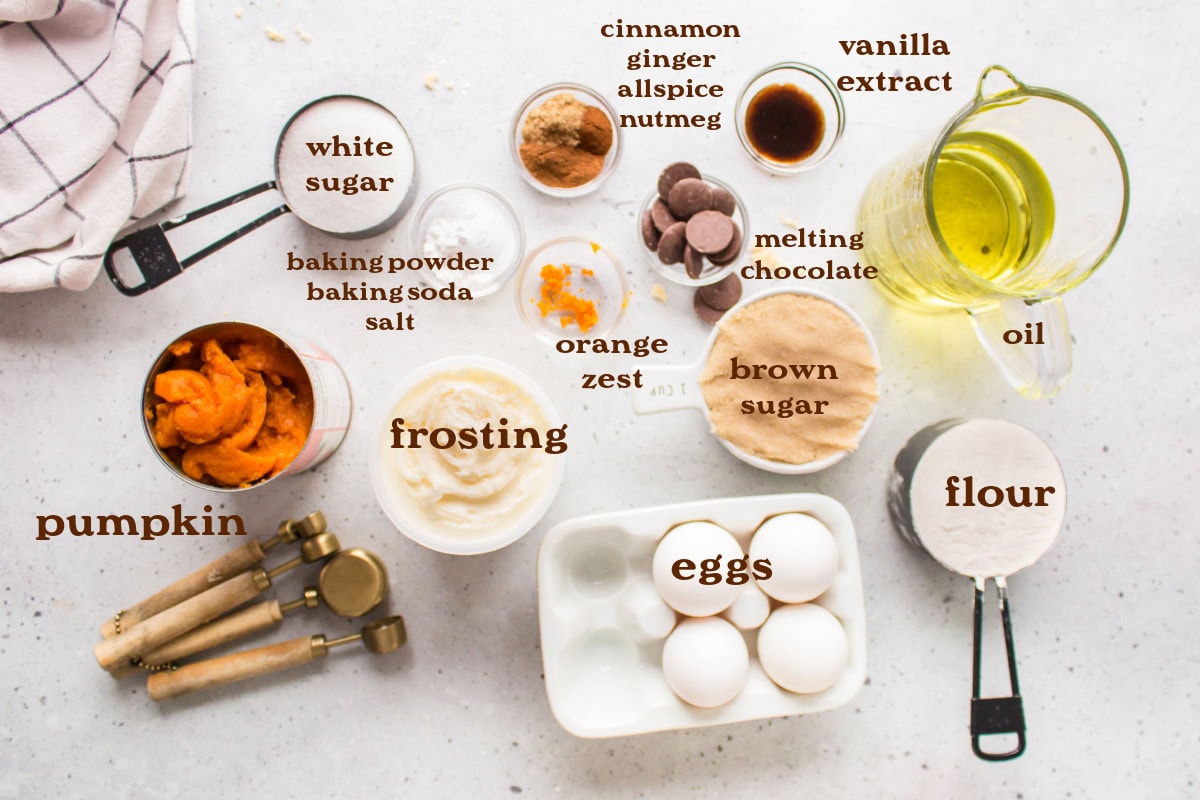 ingredients displayed for making pumpkin cake pops