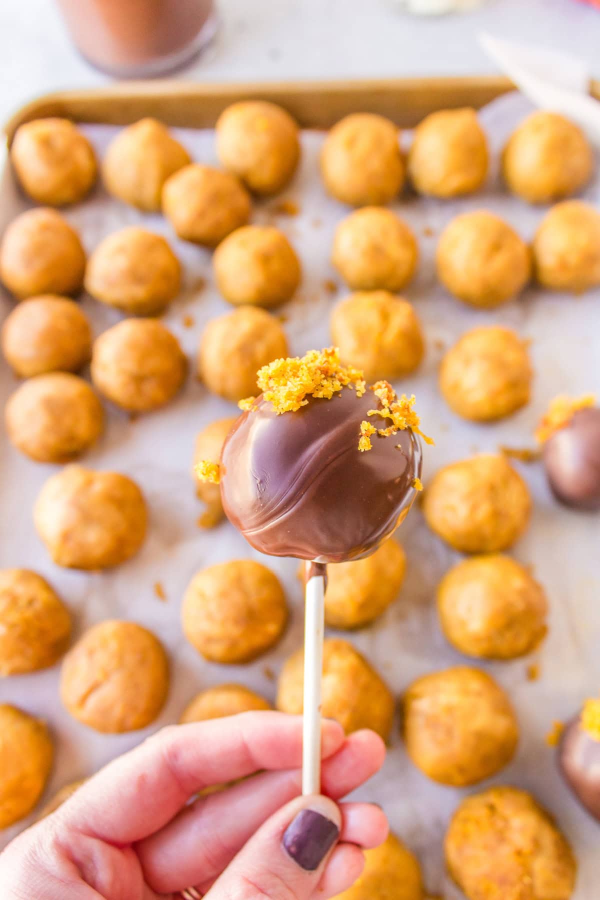 chocolate pumpkin cake pop