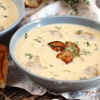 Cream of Mushroom Soup Recipe | RecipeGirl.com