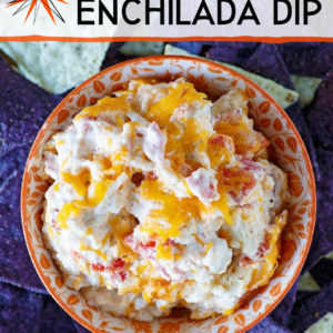 bowl of hot chicken enchilada dip