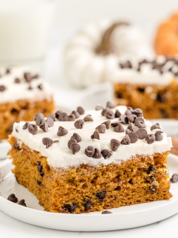 chocolate chip pumpkin bar with frosting