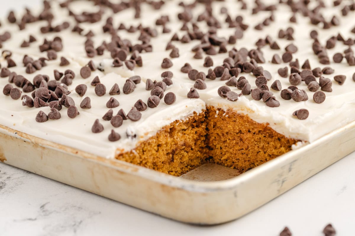 pan of chocolate chip pumpkin bars with piece cut out