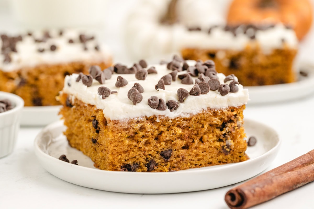 chocolate chip pumpkin bar on plate