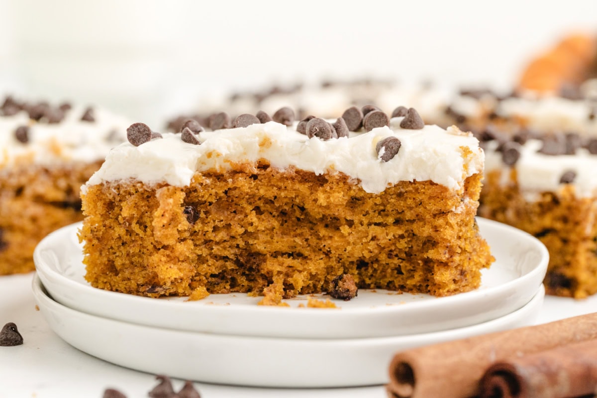 chocolate chip pumpkin bar on plate broken open to see inside