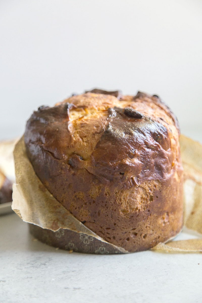 Loaf of Panettone