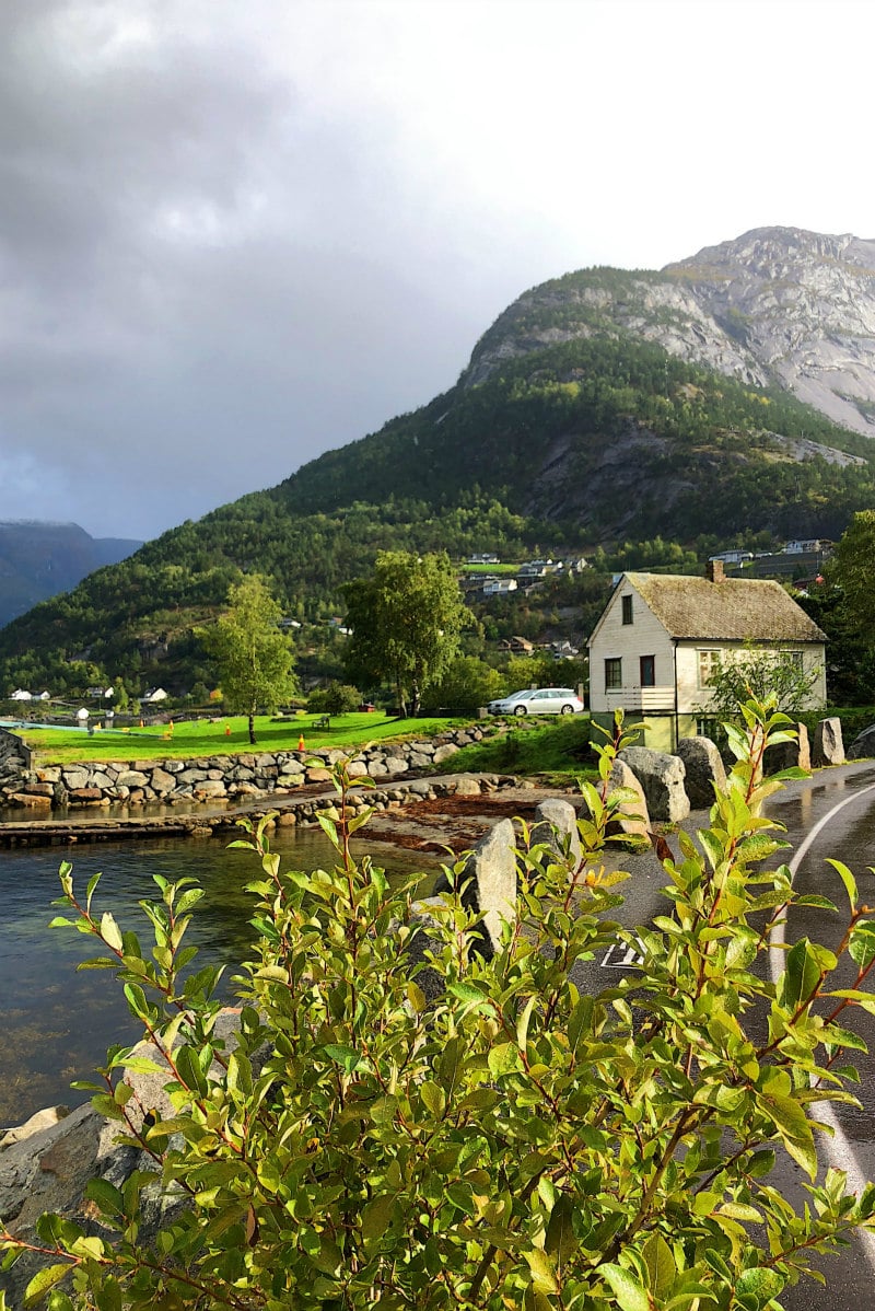 Hillside in Eidfjord, Norway