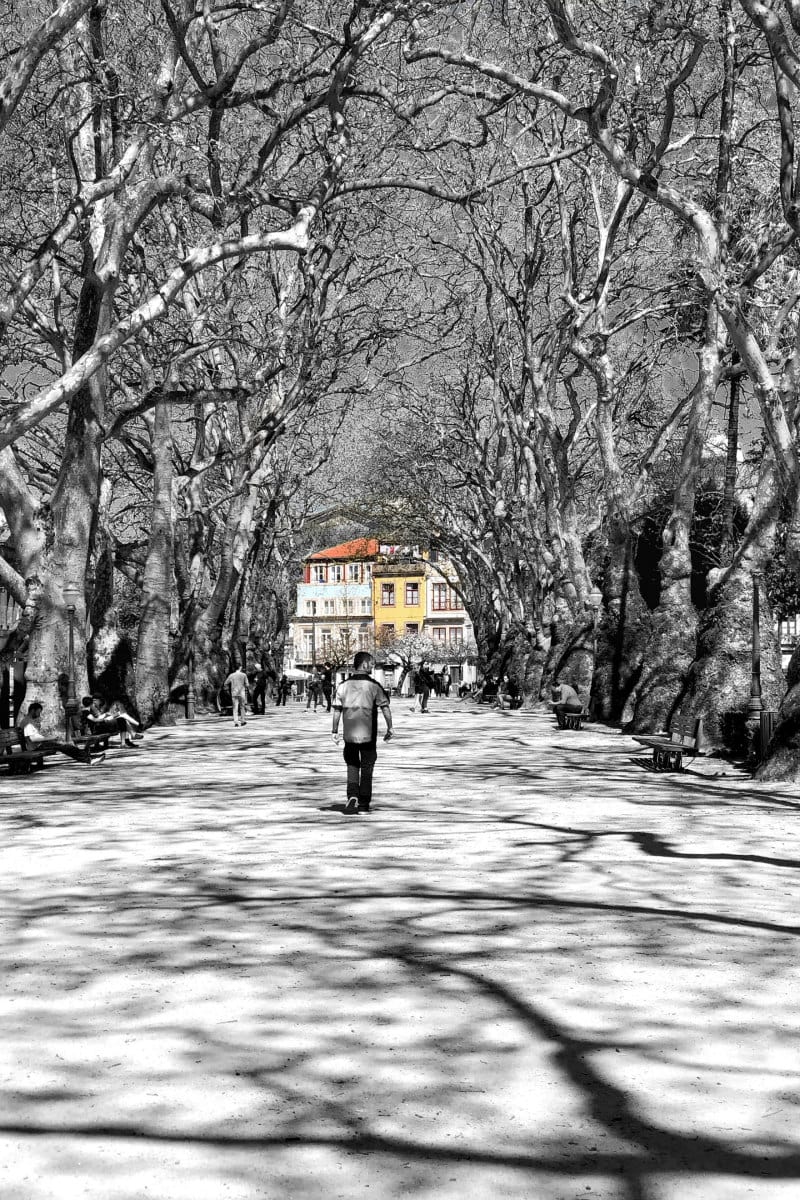 Campo dos Mártires da Pátria in Porto, Portugal