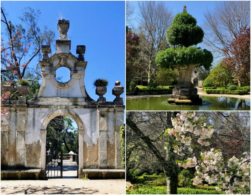 Botanical Gardens in Coimbra, Portugal