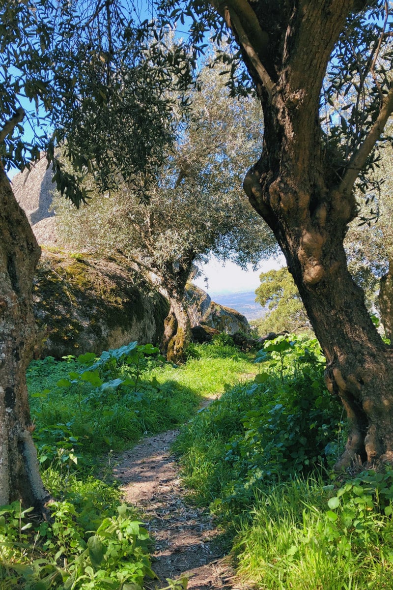 views from the path to the top of Monsanto, Portugal