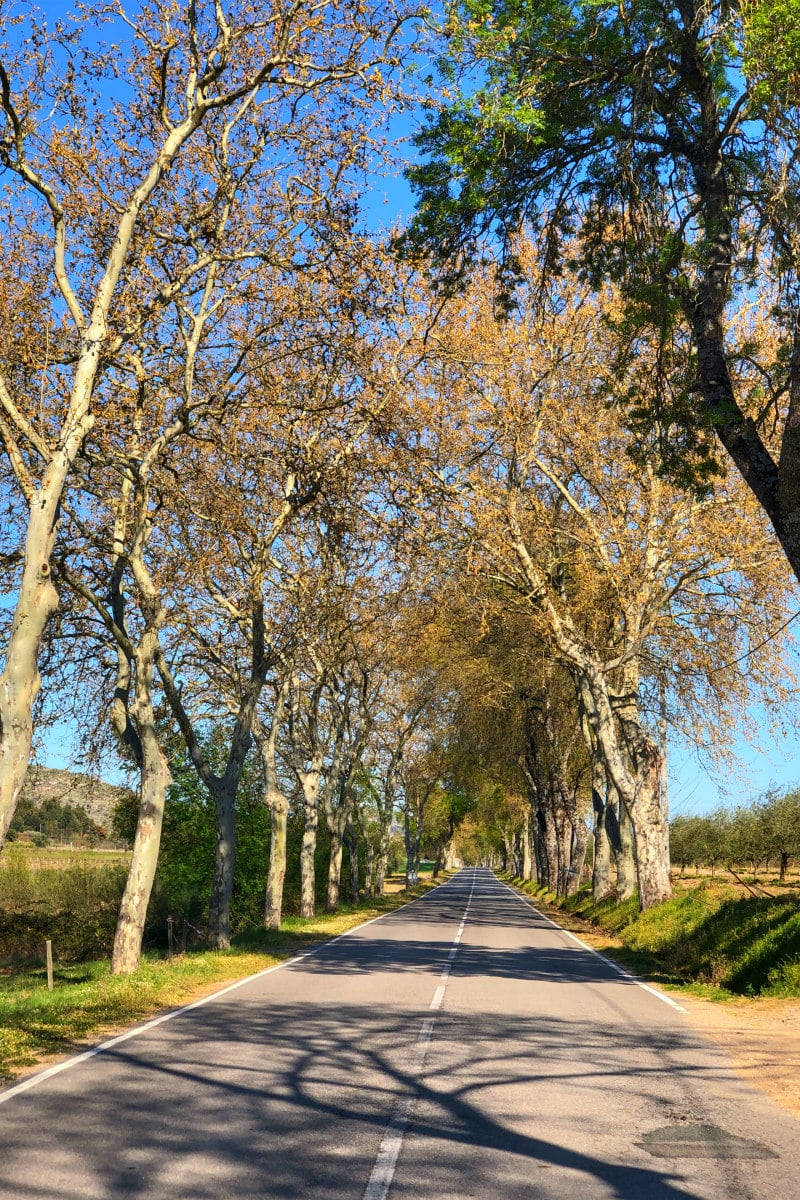 Road trip in Portugal