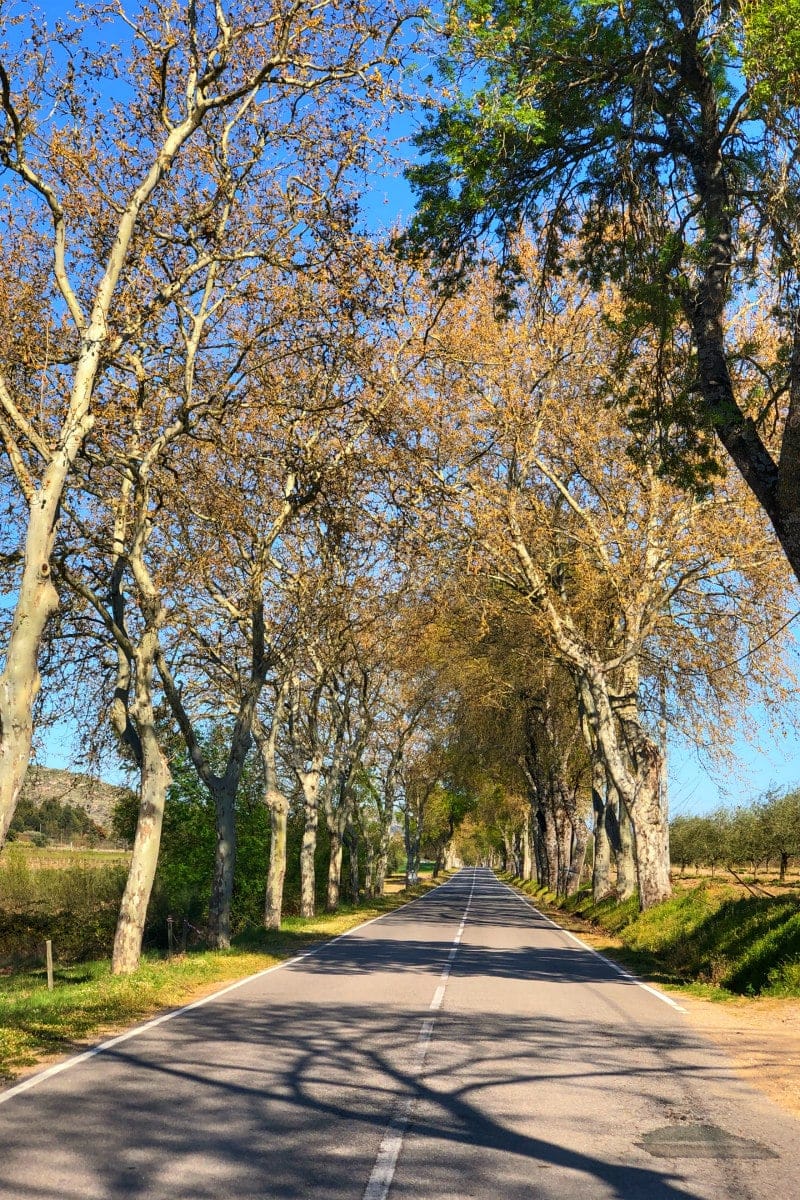 Braga: The Most Beautiful Stairway in Portugal? – The Vegan Travelers