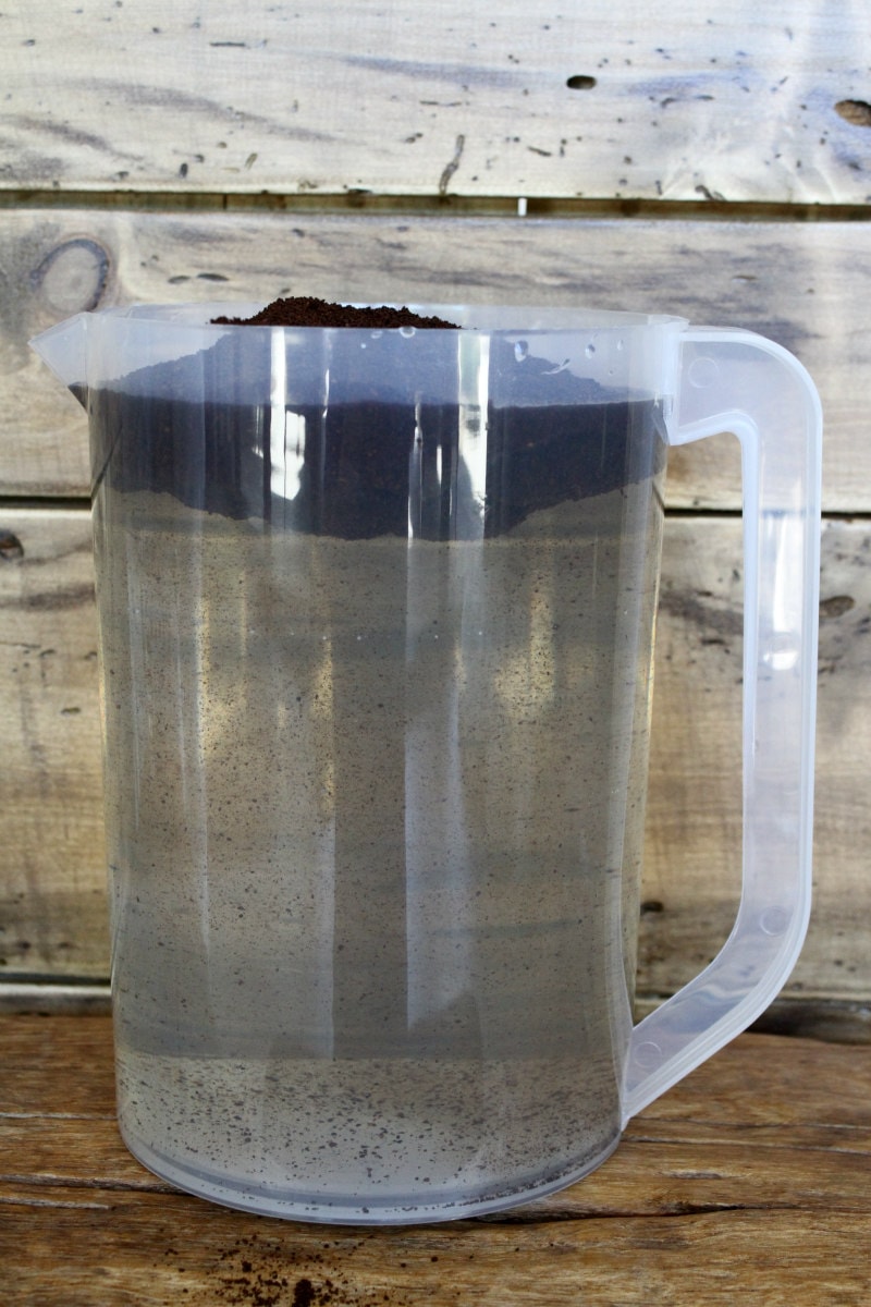 adding coffee grounds to a plastic pitcher of water