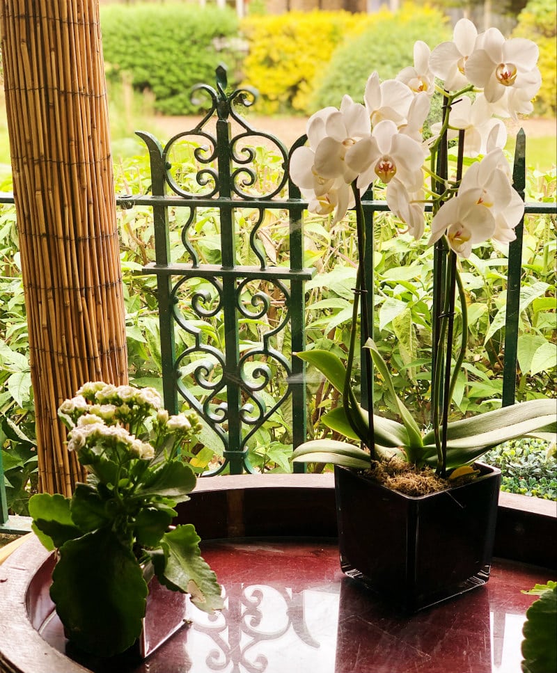 The Garden Terrace at The Montague on the Gardens