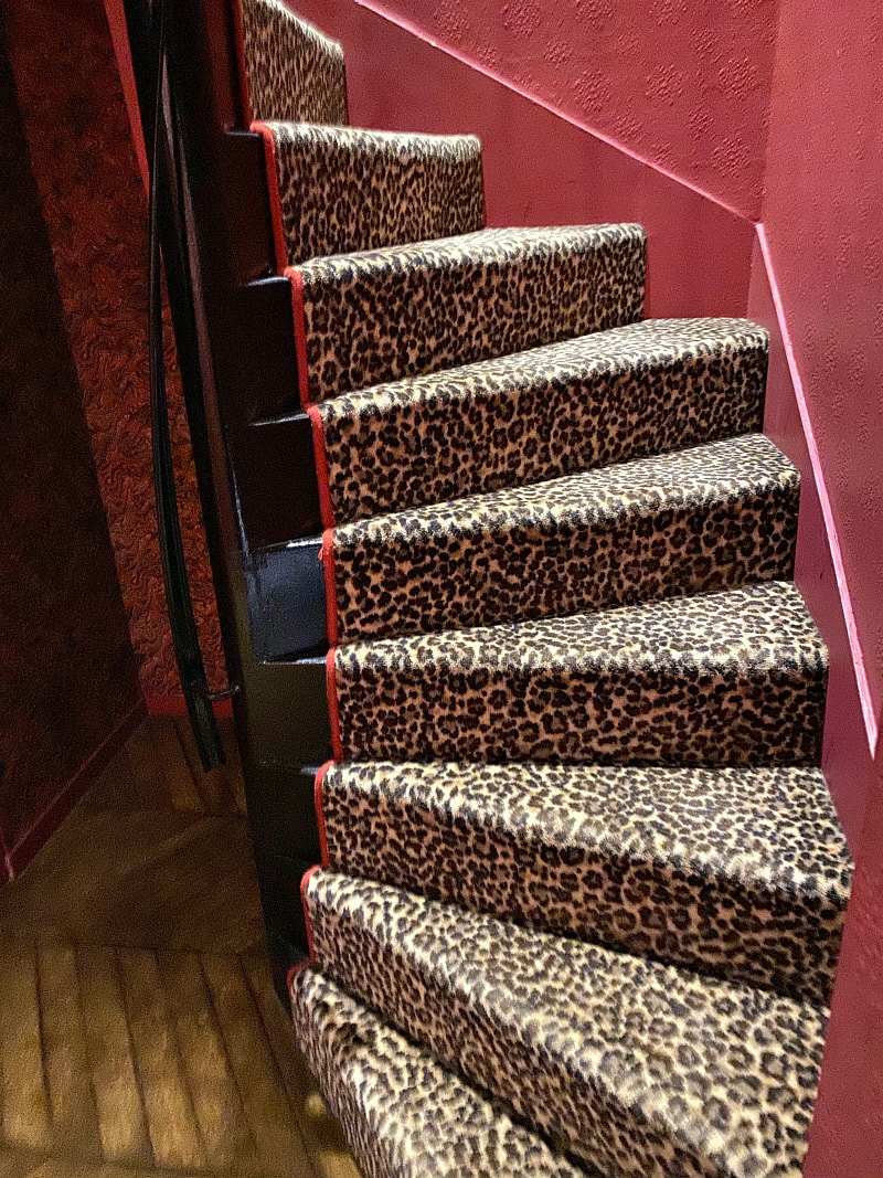 Animal Print Stairs in Saint James Paris