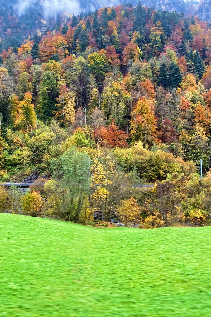 Fall scenery in the Swiss Alps with green grass field and changing colors of trees on hillside