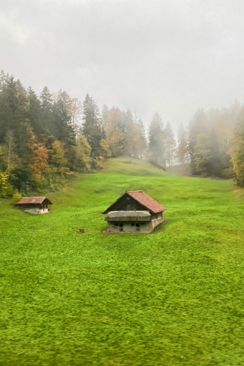 Green grass Valley under the Swiss Alps with a couple of houses in view and trees too