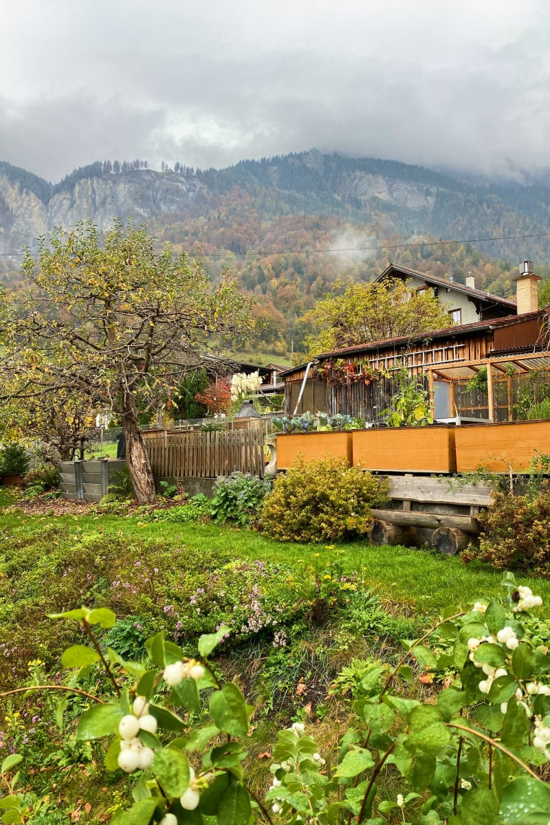 Scenery in Brienz, Switzerland: house with green landscape. Mountains in background.