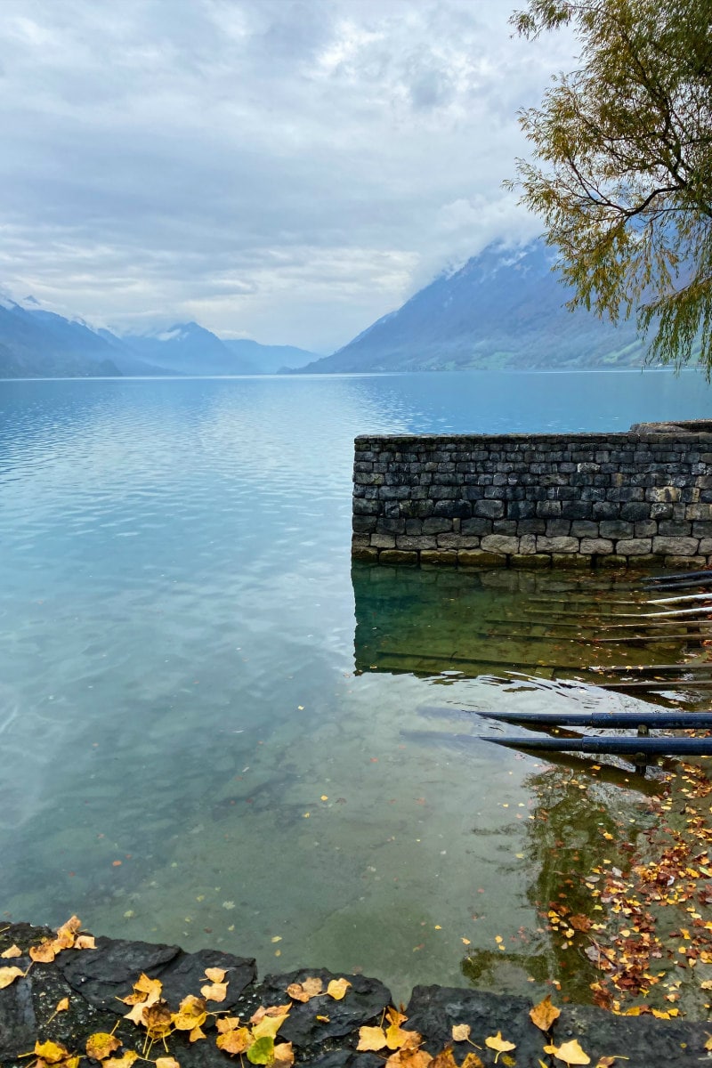 View over Lake Brienz in Switzerland with stone wall and tree in view too.