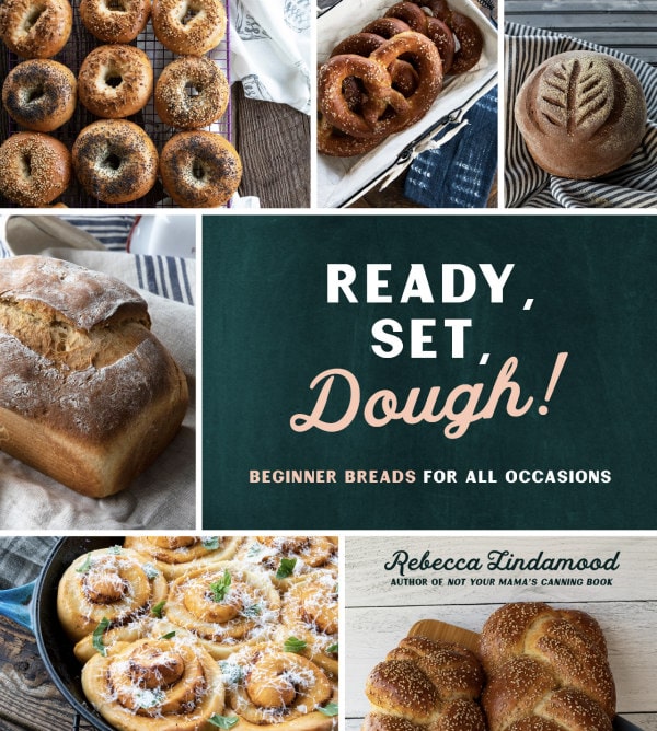 Ready, Set, Dough! cookbook image