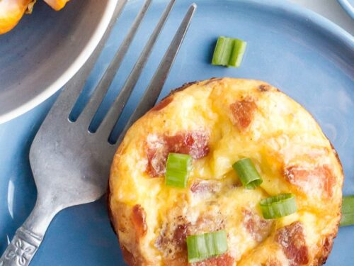 14+ Egg Bite Maker Recipes