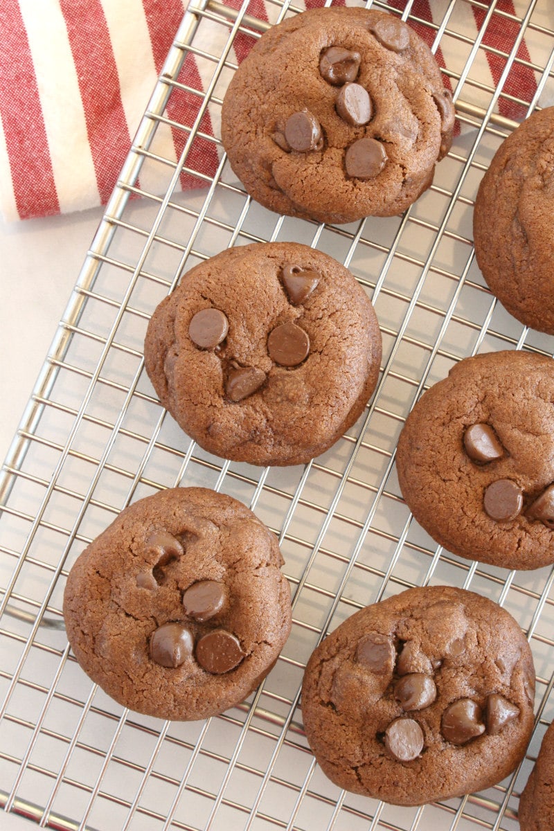 chocolate chocolate chip pudding cookies cooling on a cooling rack