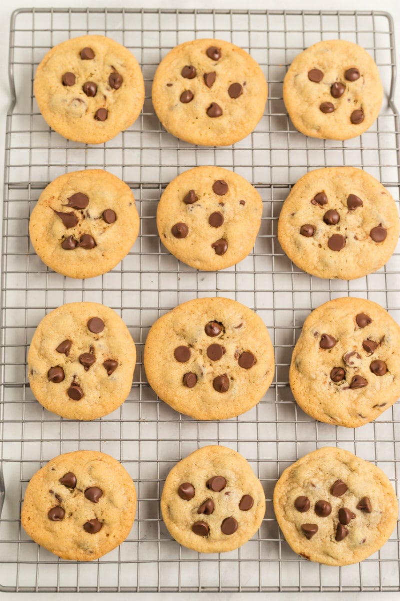 overhead shot of one dozen chocolate chip cookies on a cooling rack