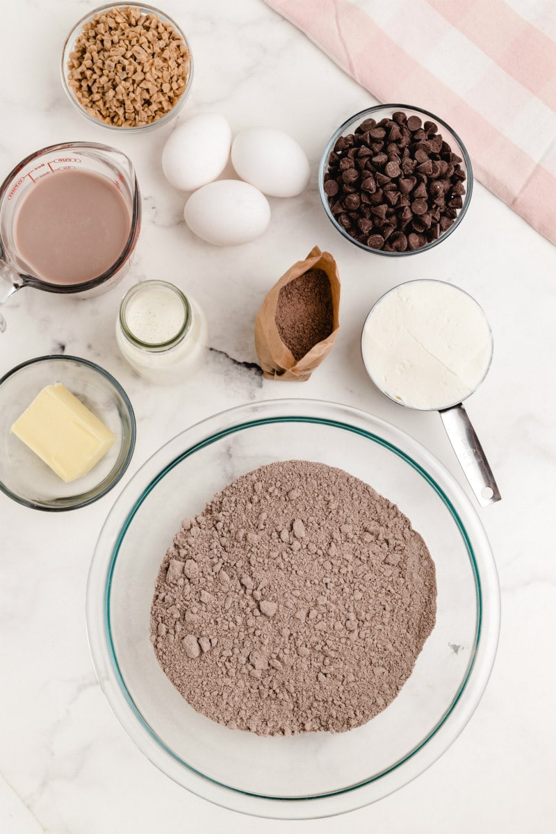 overhead shot of ingredients needed for chocolate wasted cake: ingredients displayed in little bowls: cake mix, butter, cream, chocolate milk, eggs, chocolate pudding, sour cream, chocolate chips