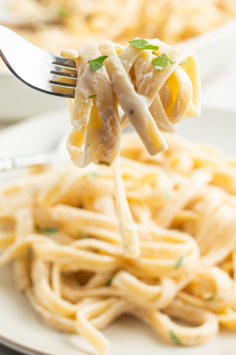 fork lifting out fettuccine alfredo off of plate