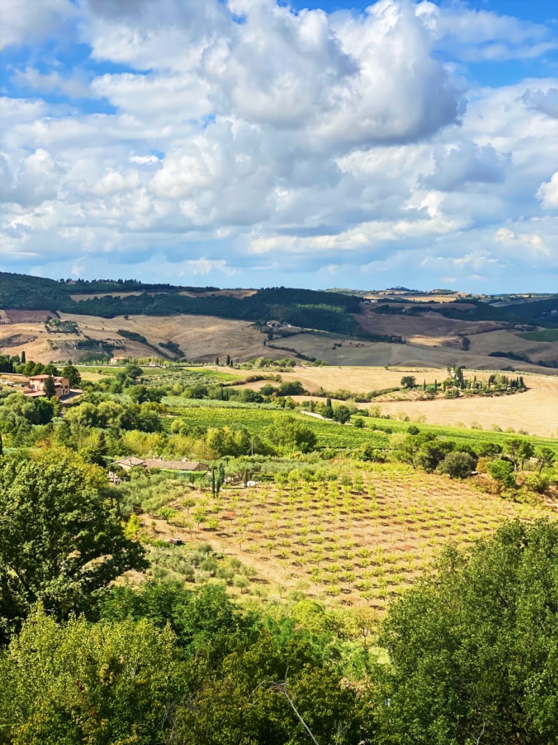 Tuscany countryside