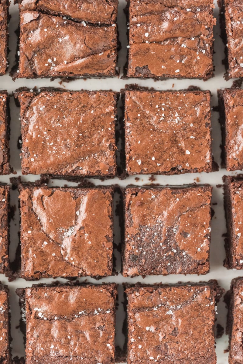 overhead shot of ultimate fudge brownies