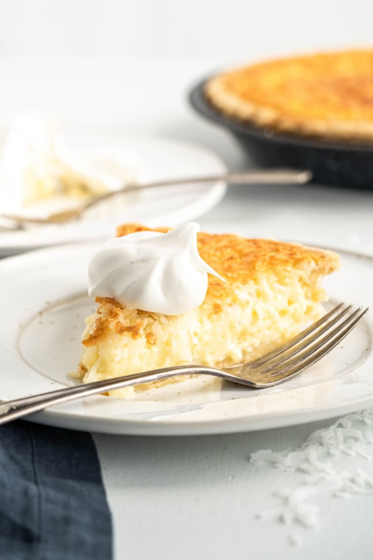 This Old Fashioned Coconut Custard Pie is rich, creamy and packed with sweet coconut flavor! 🥥 Made with a silky homemade custard and flaky pie crust, it's the perfect dessert for Thanksgiving, Easter, Christmas or Sunday dinner. Save this classic pie recipe! #coconutcustardpie #pierecipes #dessertrecipes #oldfashionedrecipes #holidaydesserts slice of coconut custard pie on a plate